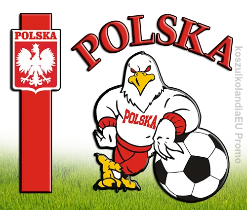 KOSZULKI Polski na mecz POLSKA - 70 modeli